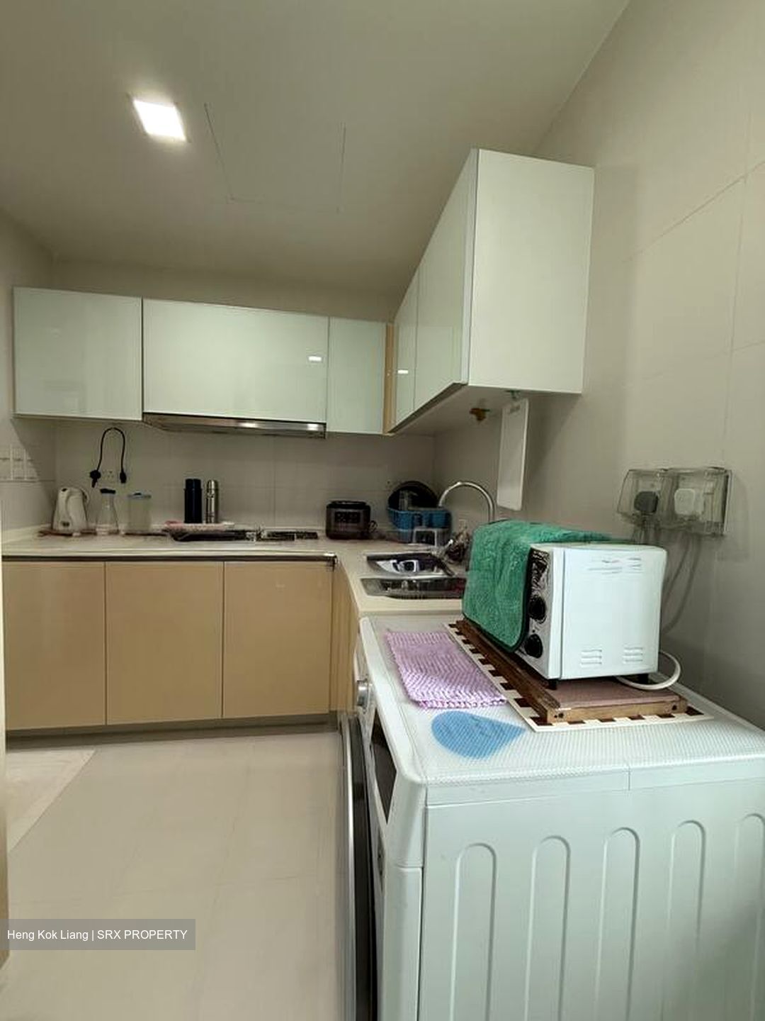 Oasis Garden (D19), Condominium #504723201